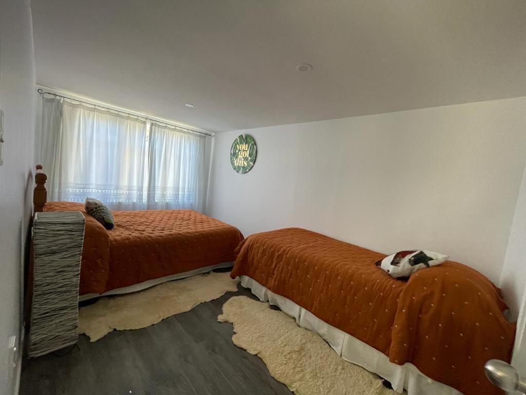 Awa Tui Batch Apartment Blenheim Luaran gambar